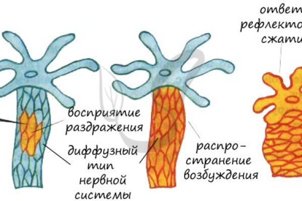 Ссылка в даркнет